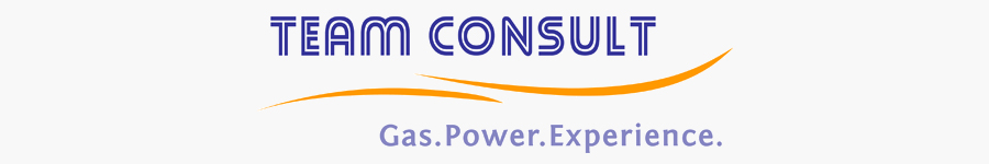  Logo Team Consult G.P.E. GmbH